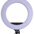 Ring 2